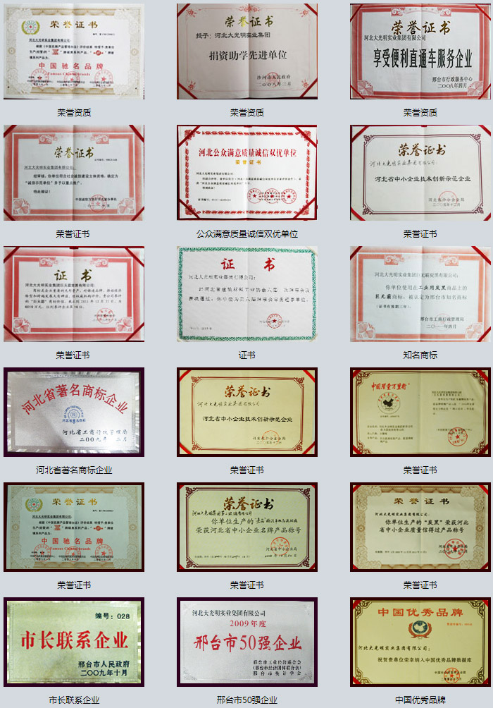 集團榮譽(yù)